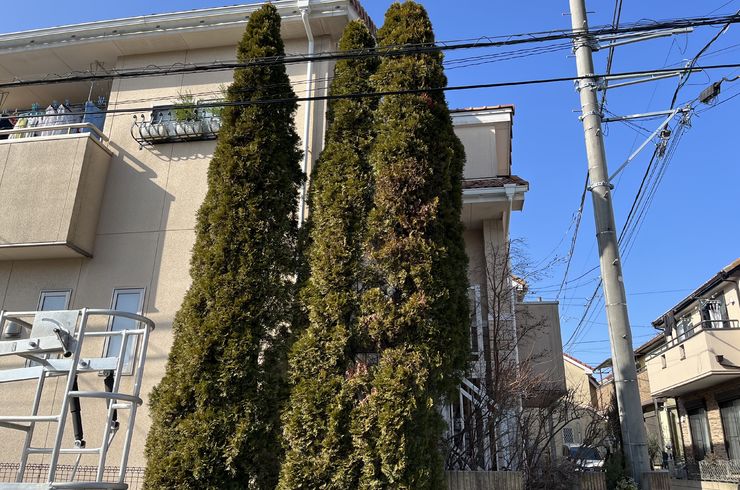 施工前