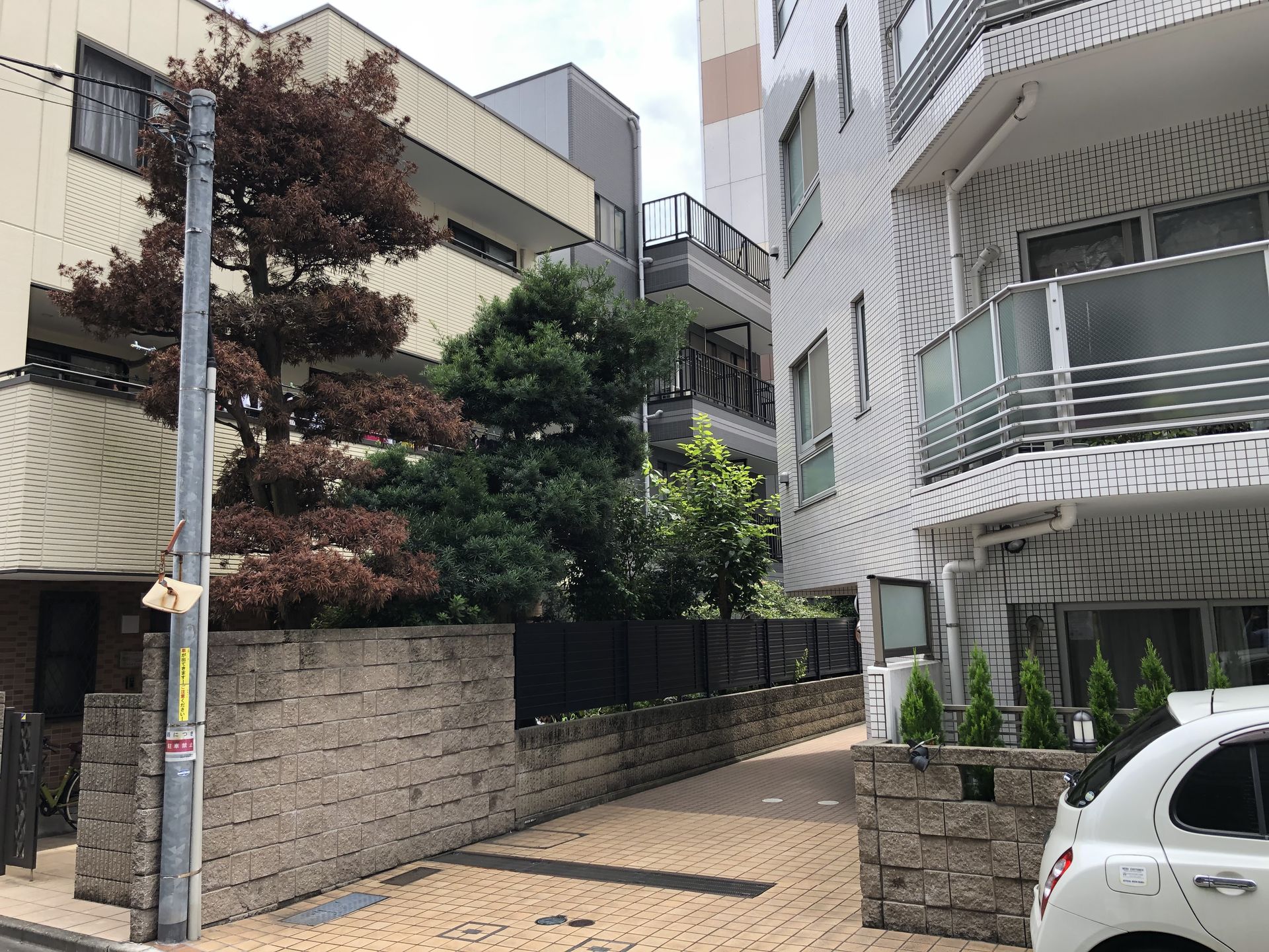 造園 植木屋 伐採作業