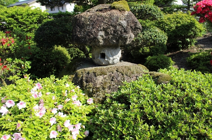庭